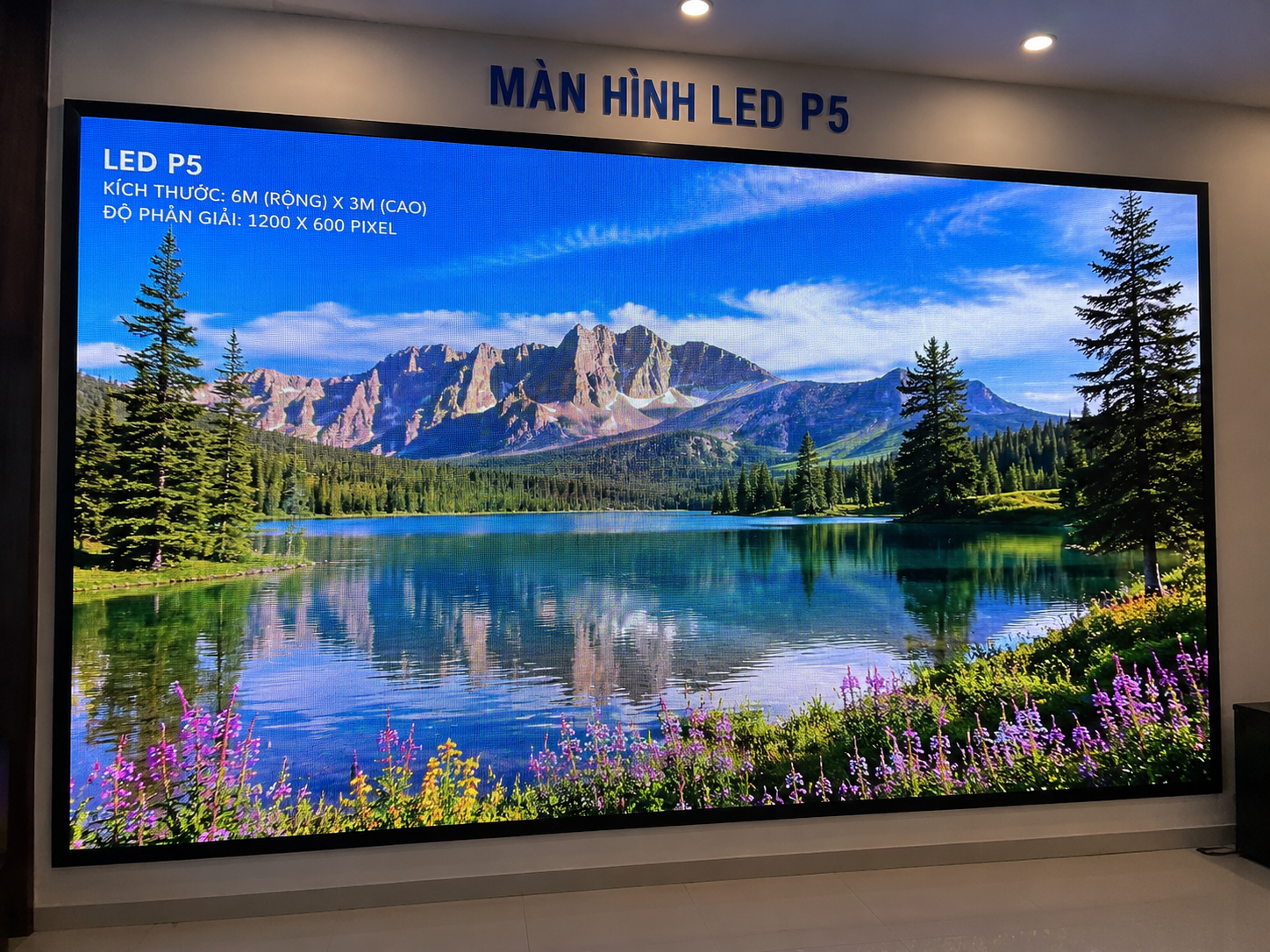 Màn hình led P5.0
