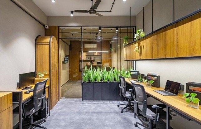 Văn phòng xanh (Biophilic Office)